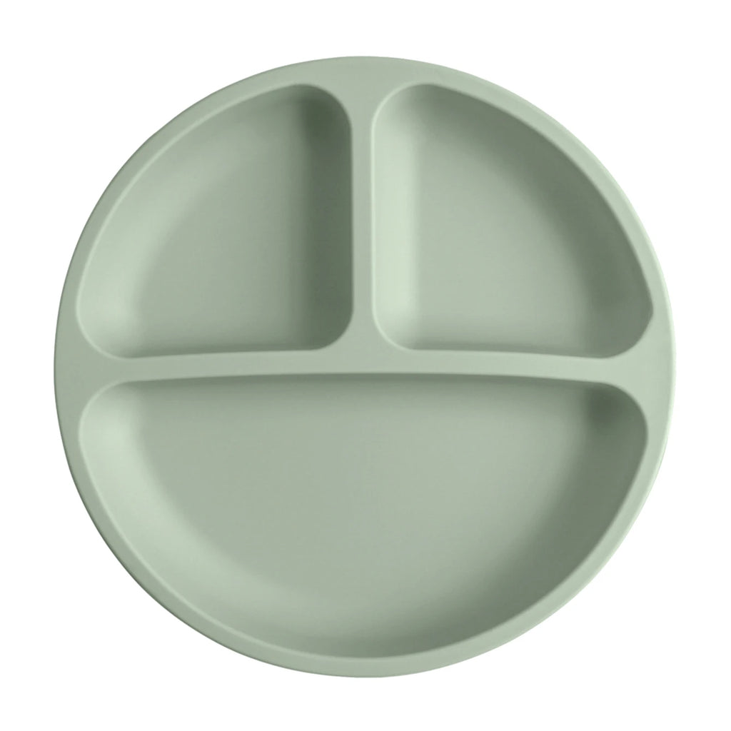 Baby's Stay-Put Dinner Plate