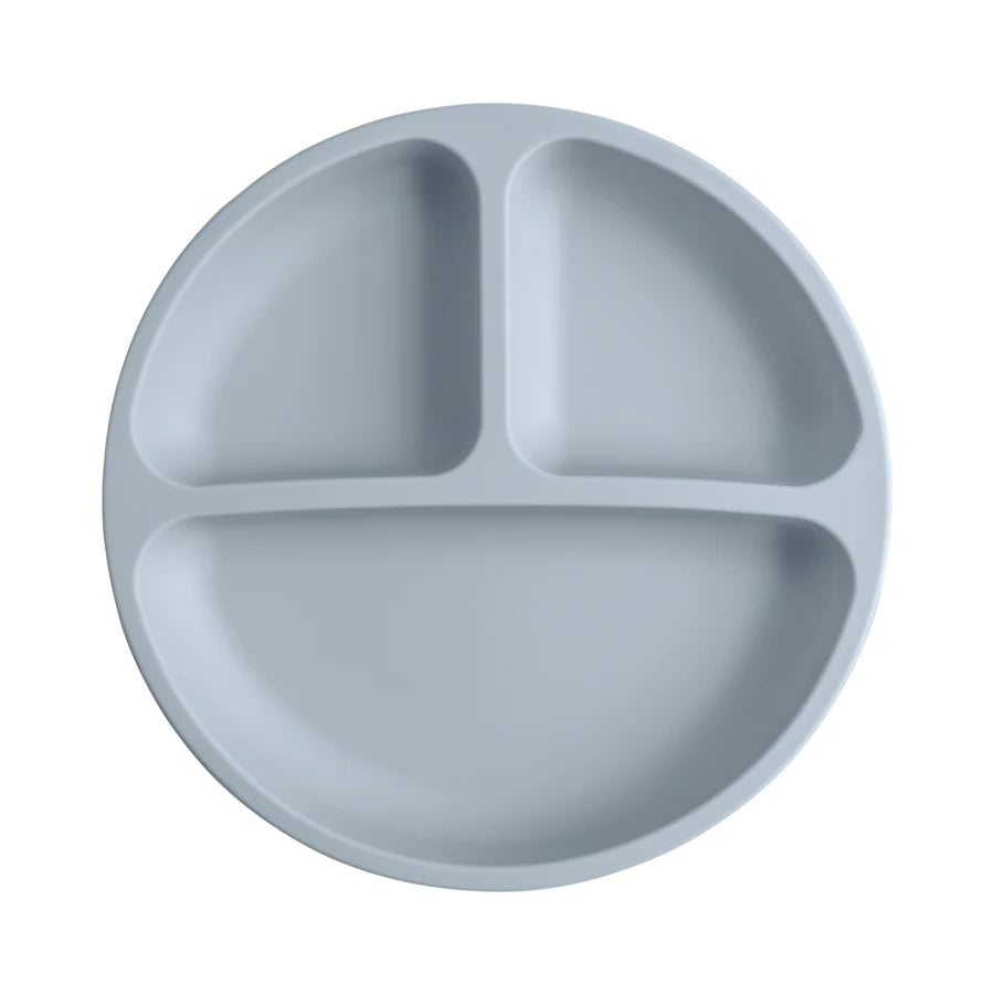 Baby's Stay-Put Dinner Plate